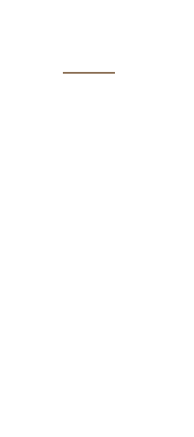 材料はシンプル。