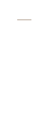 麺を作る上で特に重要となるのが、練りの工程。